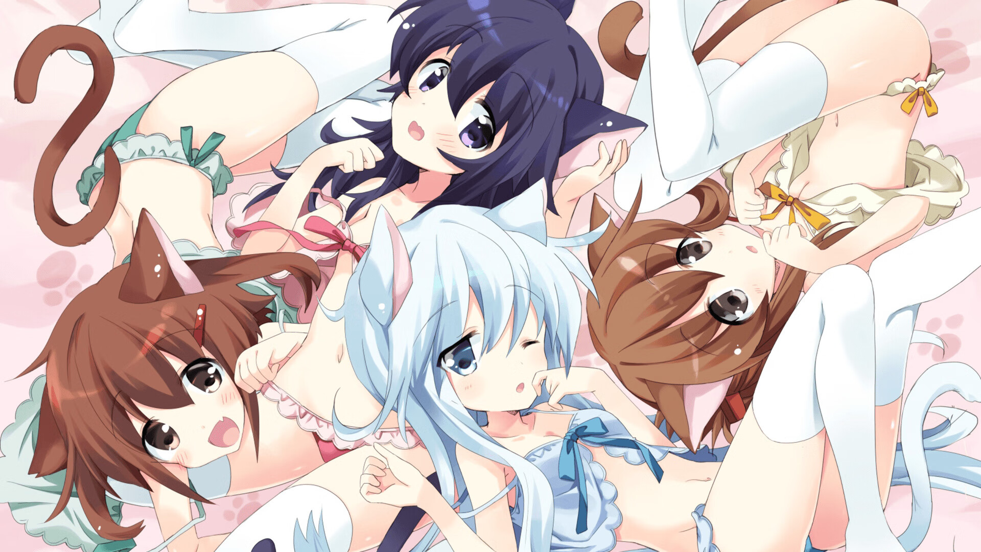 德国马术协会与亚洲马术协会建立合作关系，推动区域发展。，德国马术俱乐部