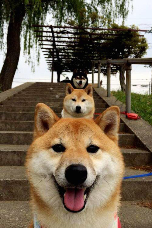 kaiyun 开云体育-【平局后怎么玩】加时赛新规让每场比赛都值得期待，加时算平局吗