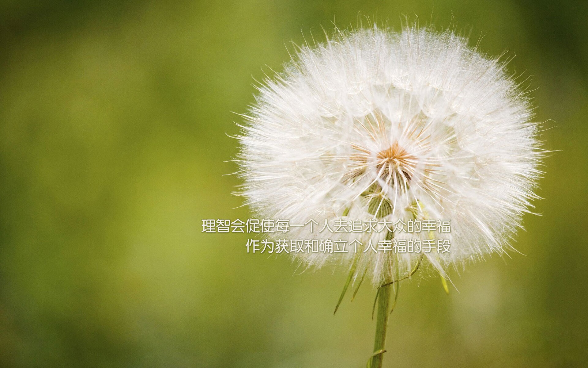 基层足球基础设施升级，乡村青少年足球水平明显提升，农村学校足球现状分析