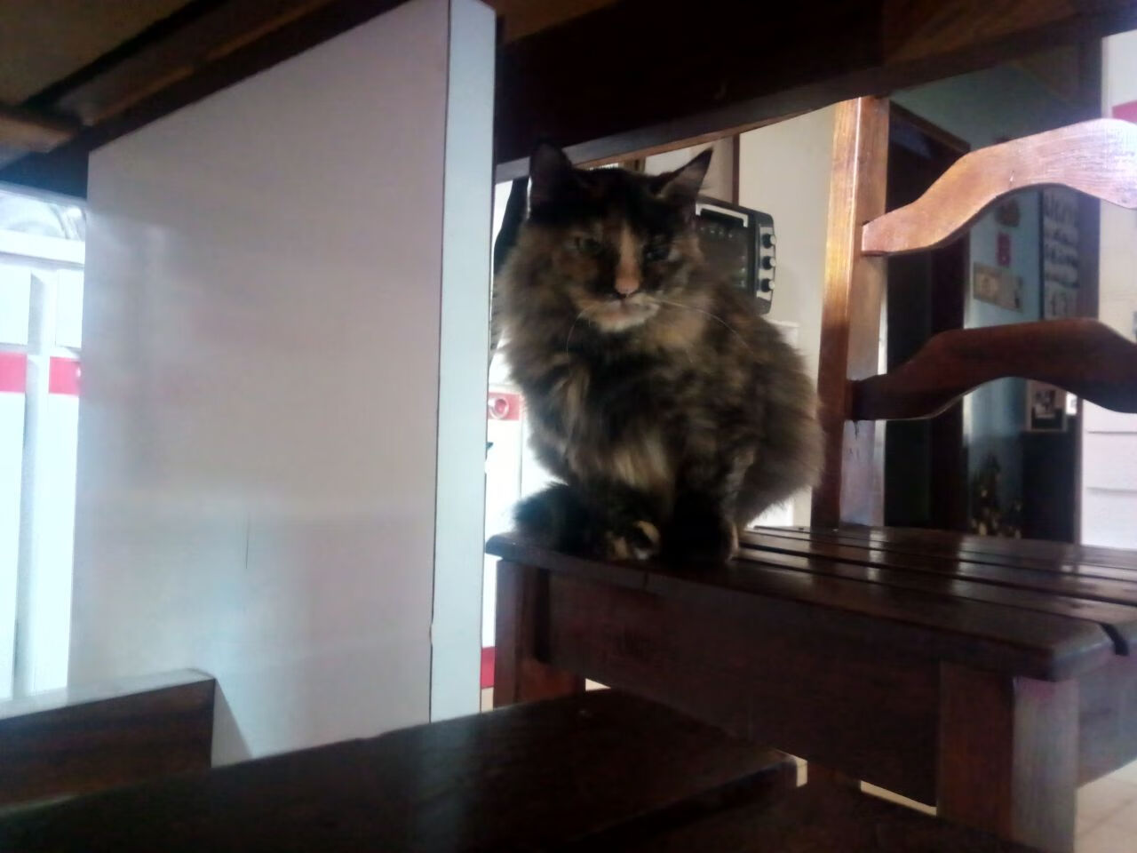 开云官网在线-夜光激光跑，科技点亮运动未来，激光夜视仪价格